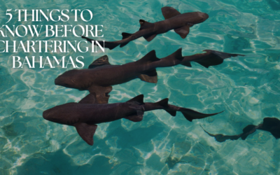 Truth About Chartering in the Bahamas: 5 Things to Know
